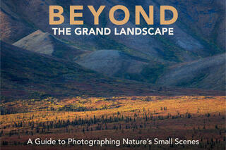 Beyond the Grand Landscape: A Guide to Photographing Nature's Small Scenes