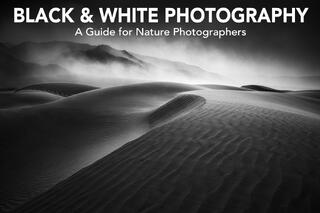 Black and White Photography: A Guide for Nature Photographers