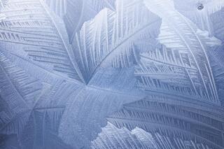Deep Freeze: Revisiting Backyard Winter Ice Abstracts