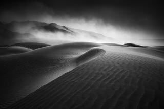 Black and White: Learning to See Opportunities in Nature