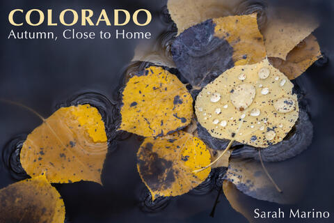 Colorado: Autumn, Close to Home