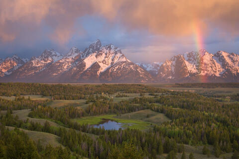 More Than Pretty Pictures: An Intentional Approach