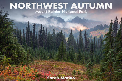 Sarah - Northwest Autumn - 2023