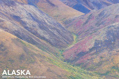 Ron - Alaska - 2023