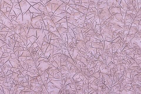 Branches and Lines