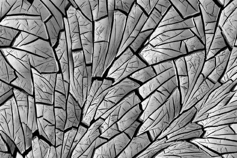 Angular Mud Cracks