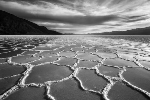 Flooded Polygons