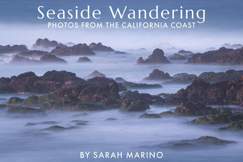 Sarah - California Coast - 2025