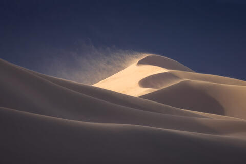 Sarah's 2025 Year in Review