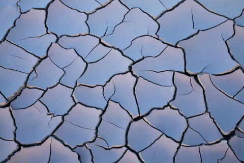 Velvet Tiles