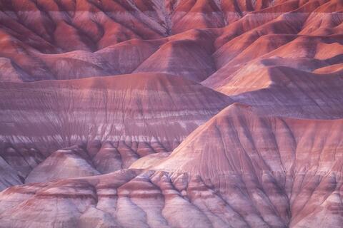 Painted Desert