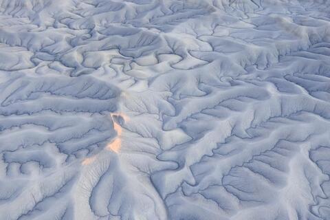 Tangled Landscape