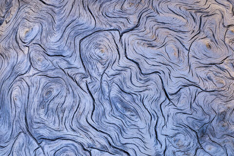 Exploring Abstractions Among the Bristlecone Pines 
