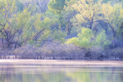 It’ll Be Prettier Soon: Eclipse Trip Recap and Photos