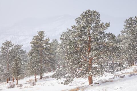 Milestones: Winter in Rocky Mountain National Park