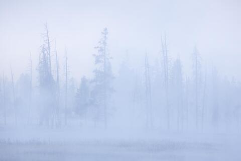 Quiet Morning