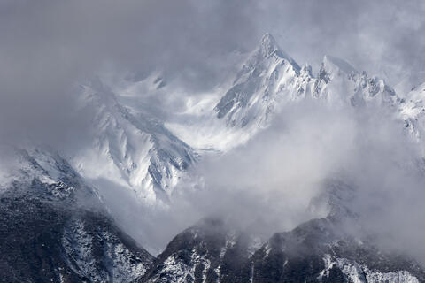 Spring in New Zealand