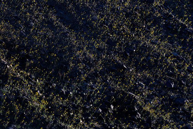Perpendicularity
