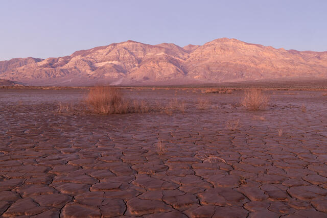 Padded Playa
