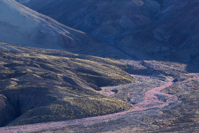 Purple Wash