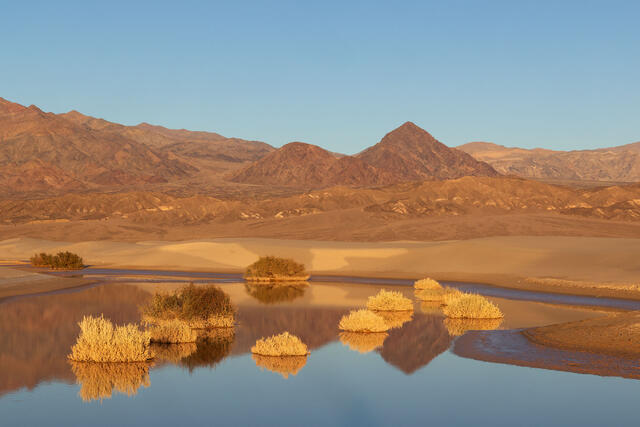 Recent Work: Desert Rain