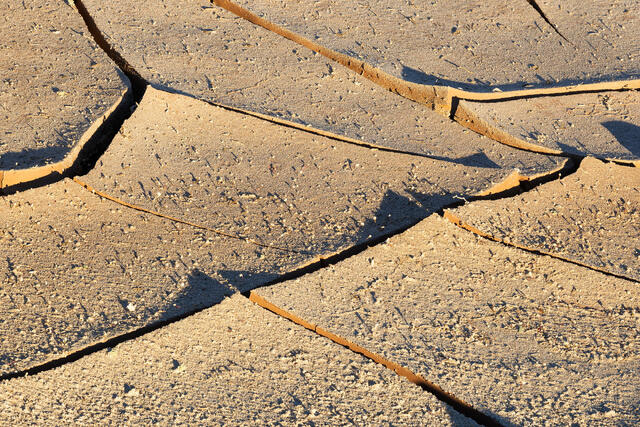 Sandy Paper