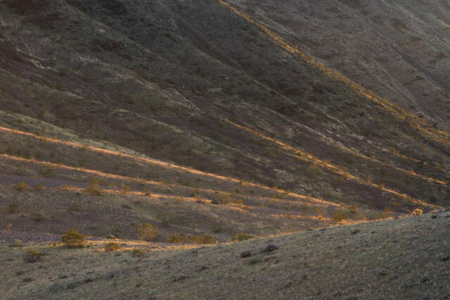 Path to Cholla