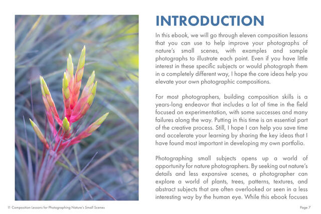 10 Composition Lessons Free Ebook