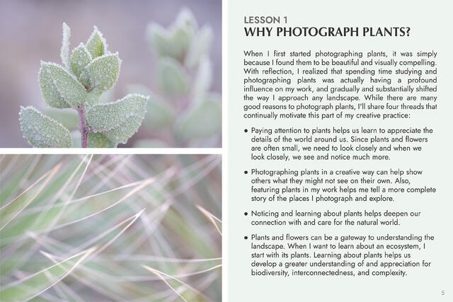 Plants and Flowers: 15 Photography Lessons