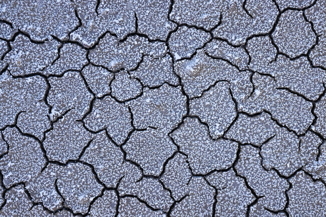 A Salted Land