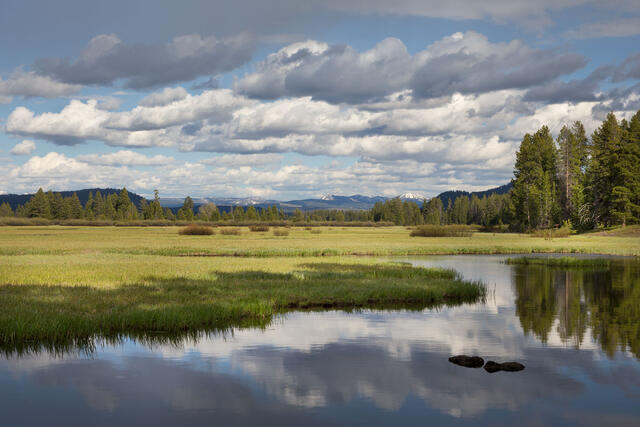 Afternoon Calm