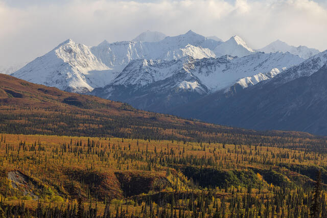 Alaskan Fall