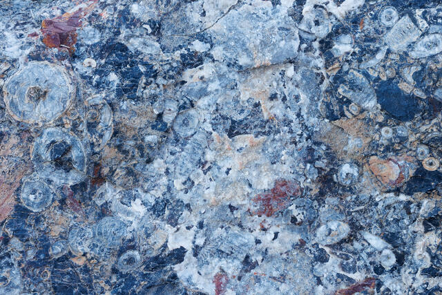 Ancient Sea
