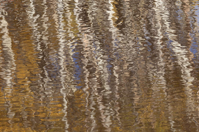 Aspen Puddle