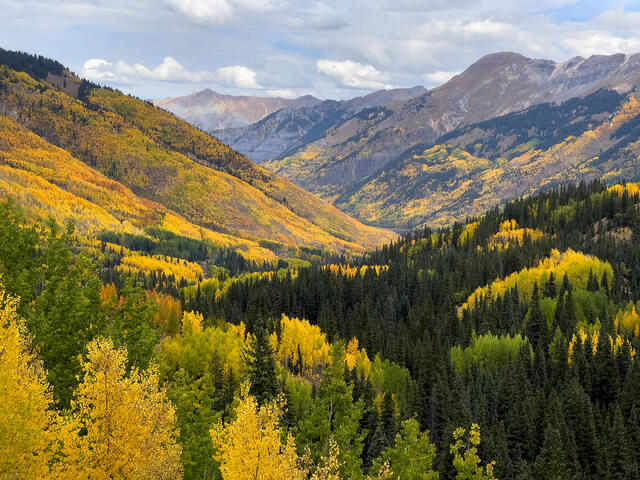 Autumn Arrival