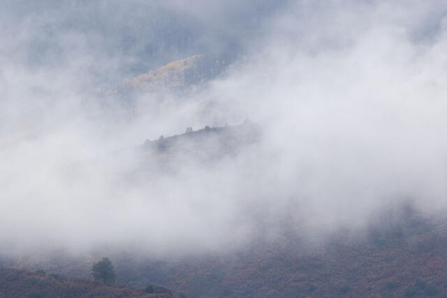 Autumn Fog Layers