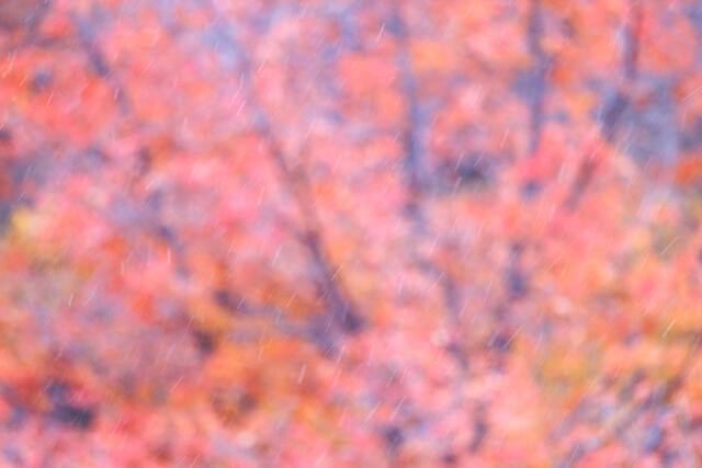 Autumn Snow Fall