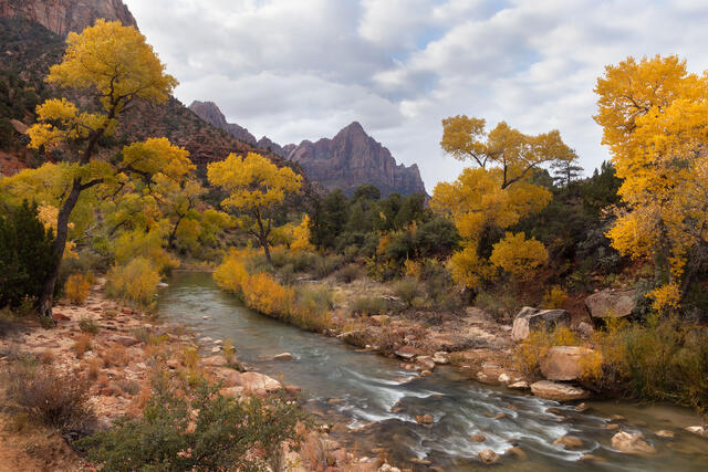 Autumn Watchman