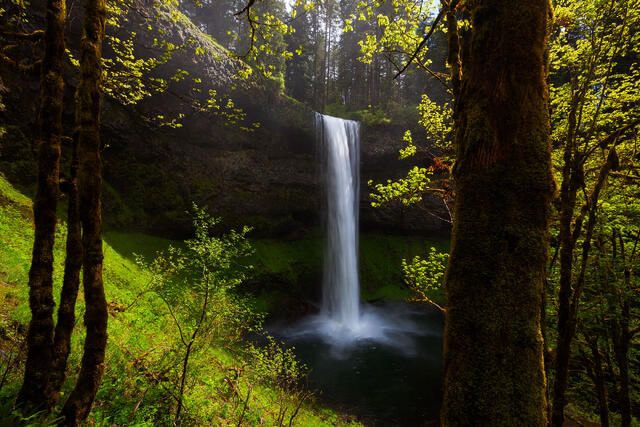 Backlit Silver Falls