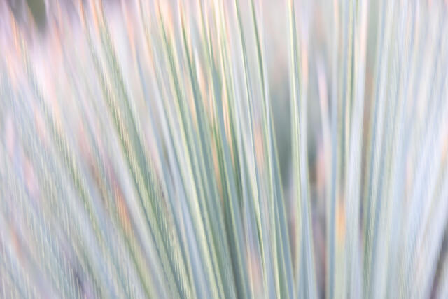 Blurred