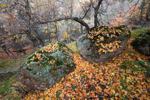 Bold Boulders