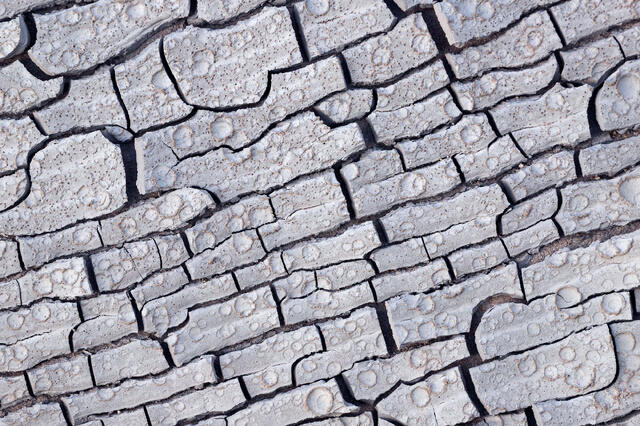 Brick Wall