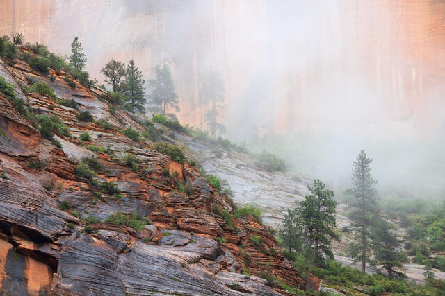 Canyon Clearing