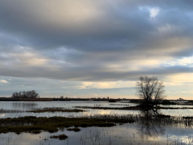 Central Valley