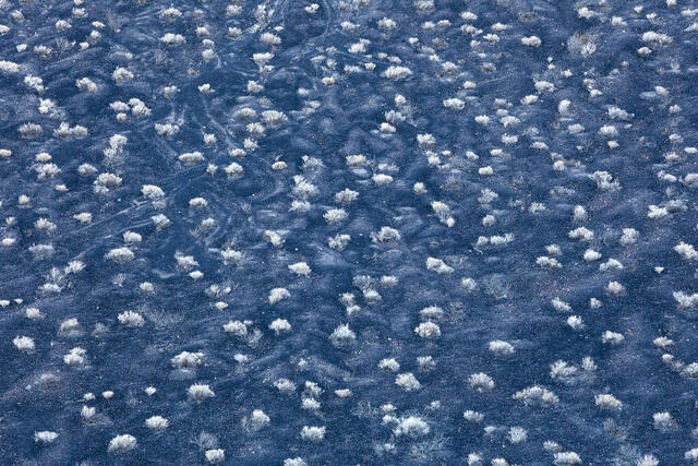 Circles