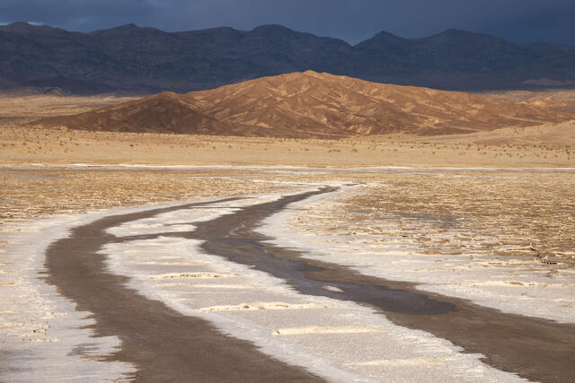 Dark Desert Highway