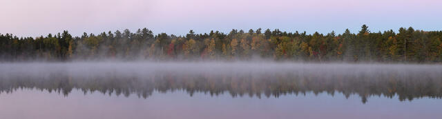 Dawn Mist