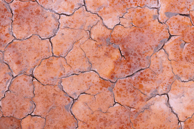 Desert Rain Drops