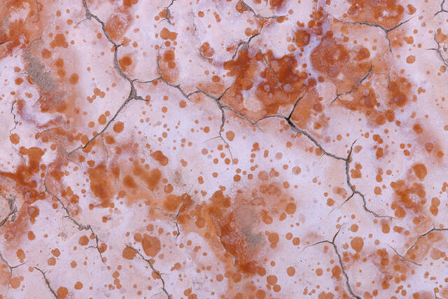 Desert Rain