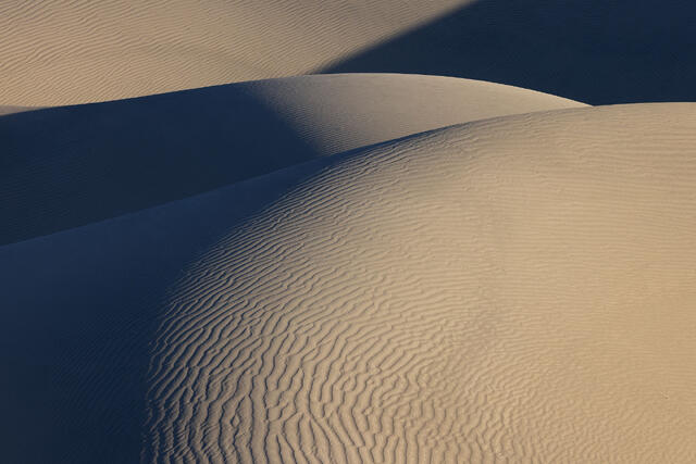 Dune Bumps